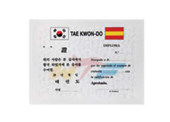 VA 1111 ΔΙΠΛΩΜΑΤΑ "TAEKWONDO"