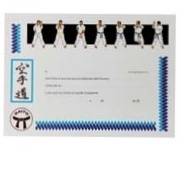 VA 1113 ΔΙΠΛΩΜΑΤΑ "KARATE"