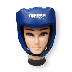 Boxing Headguard
