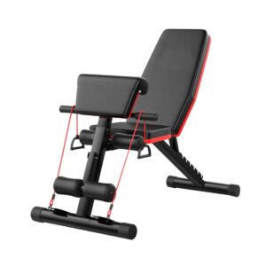 Πολλυπάγγος εκγύμνασης